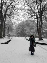 用雙眼、雙腳走進北海道的雪白世界裡