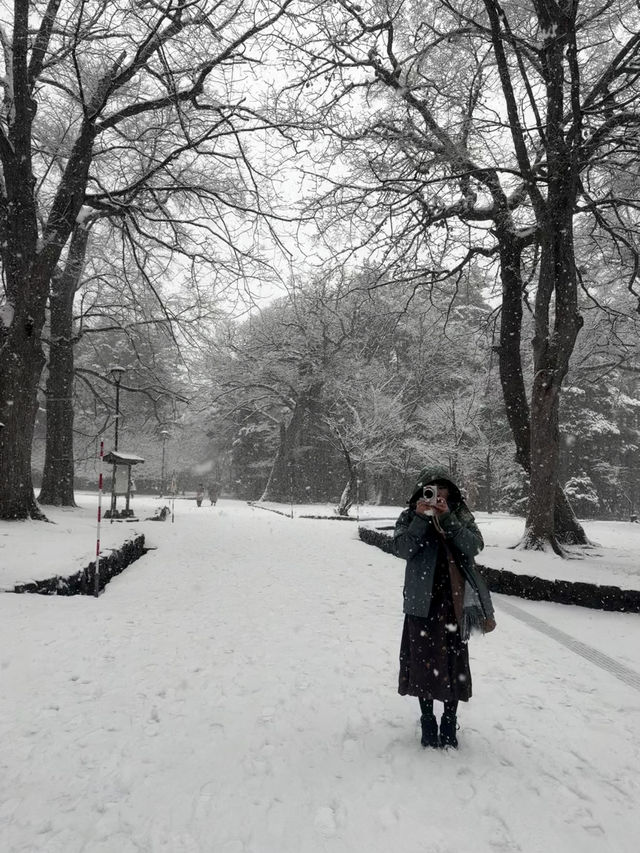 用雙眼、雙腳走進北海道的雪白世界裡