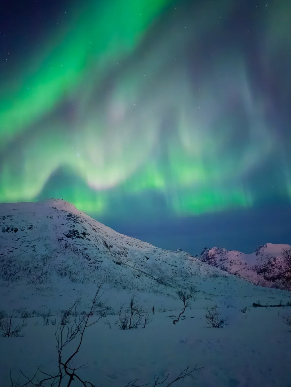 2026 is set to be a great year for auroras!