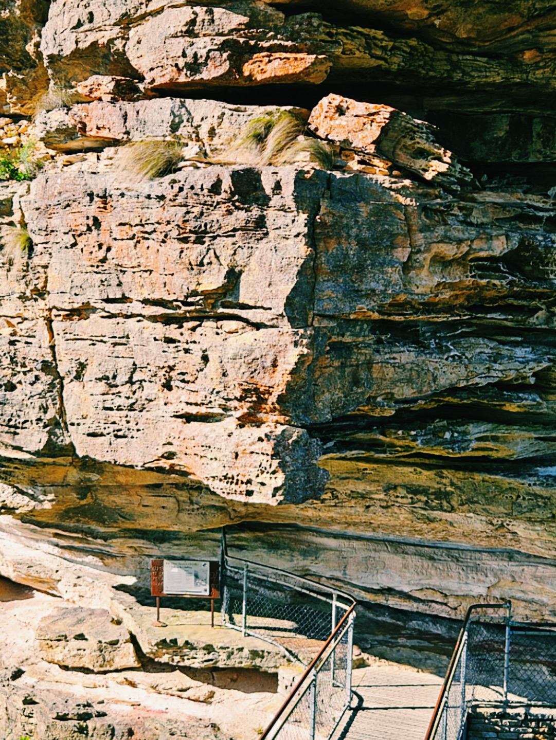 Thoát khỏi thành phố ồn ào và hòa mình vào thiên nhiên với tour tham quan dãy núi Blue Mountains ở Sydney ✨
