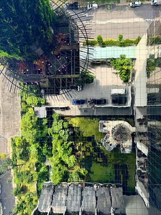 Roaming Through Singapore: A Wonderful Holiday Starting at the Orchard Hotel—My Accommodation and Travel Experience.