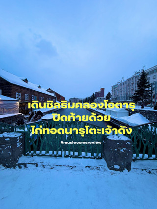 겨울 저녁 오타루 운하 산책 리뷰.