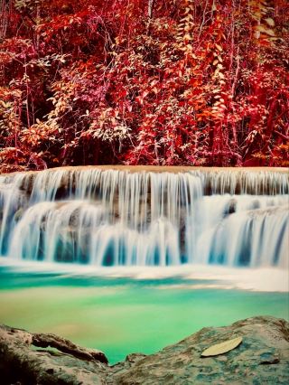 Hispaniola Massif de la Selle Mossy Macaya Cloud Foresteasytravelpost