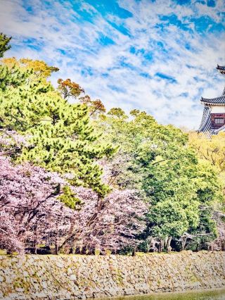 Itabashi’s Joren Falls & Local Soba Shops