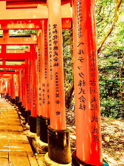 Kanagawa's Hakone-Yumoto Old Cedar Avenue Walk | Trip.com Hakone