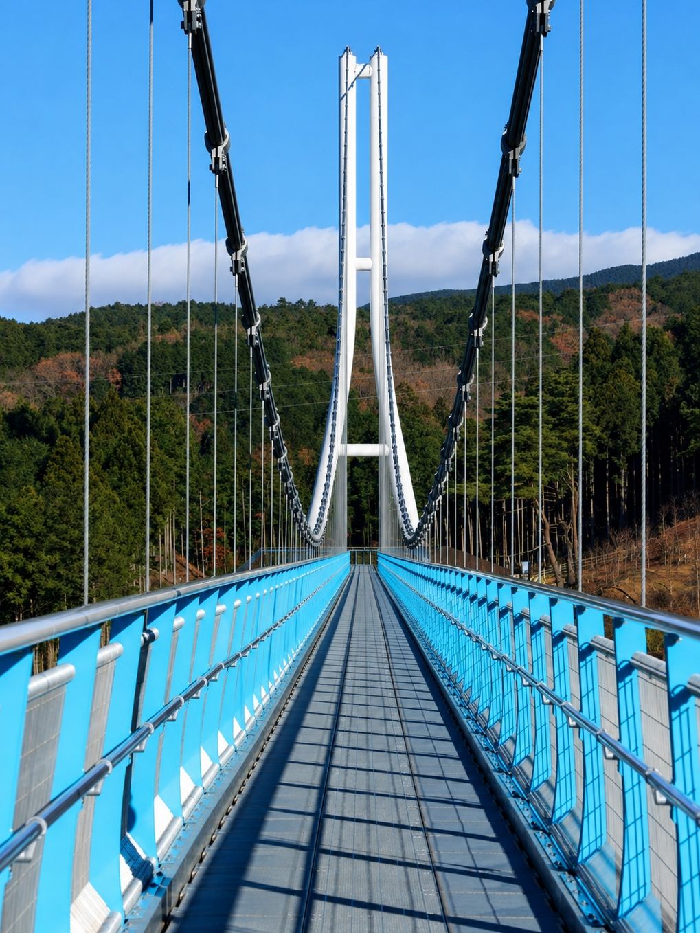 [Shizuoka] Sky walking at Mishima Skywalk is just too much fun.