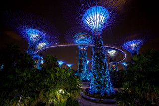 Singapore: City Break or Nature Escape? Why Not Both! 🌆🌿
