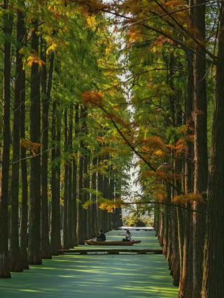 🏮 Yangzhou | A City Where History Never Left