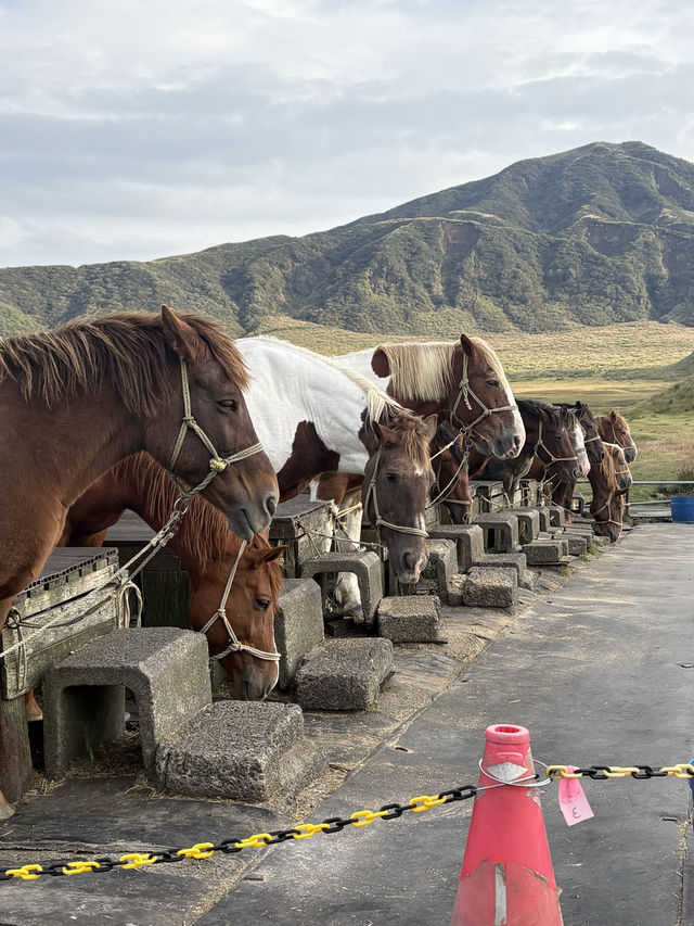 Mount Aso