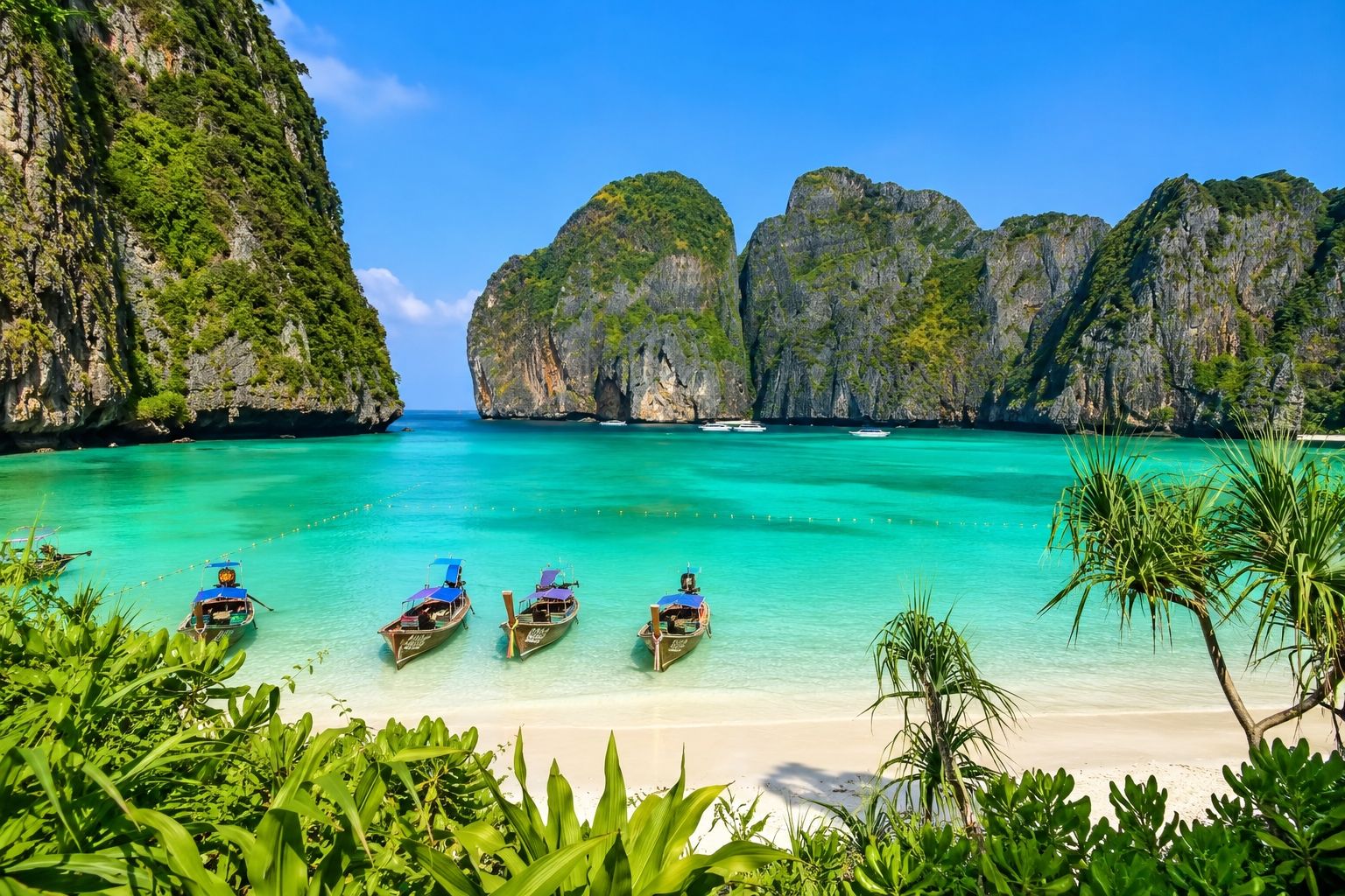 🌴💙 探索泰國皮皮島的天堂 🇹🇭🌊

想像一下,清澈碧綠的海水與鬱鬱蔥蔥的青山交相輝映,金色的陽光灑滿大地,令人嘆為觀止的海灘美不勝收。 🏝️✨ 歡迎來到皮皮島,泰國最美麗的熱帶度假勝地之一!

從壯麗的海景到寧靜的海灘,再到色彩繽紛的長尾船,島上的每個角落都宛如夢境。 💚 大自然的美景、清新的海風和如夢似幻的景色,使其成為熱愛旅行和冒險人士的完美目的地。 🌊☀️

有時候,我們需要的只是一個美麗的地方、一段寧靜的時光和海浪的聲音。 💙✈️

你是否也夢想著有一天能造訪這片熱帶天堂呢? 😍🏖️

📍 泰國皮皮島 🇹🇭 瑪雅灣

#皮皮島 #泰國 #旅行攝影 #2026旅行計劃 #瑪雅灣 #熱帶天堂 #美麗目的地 #旅行愛好者 #海島生活 #自然愛好者 #探索世界 #夢想目的地 🌴💙