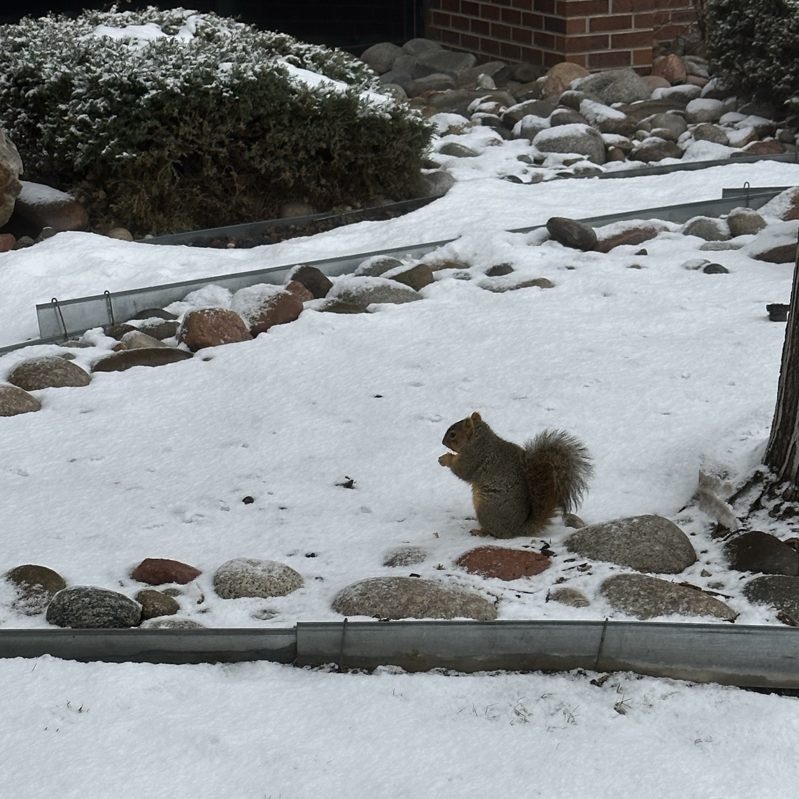 Arapahoe County 2023 Top Things to Do Arapahoe County Travel Guides