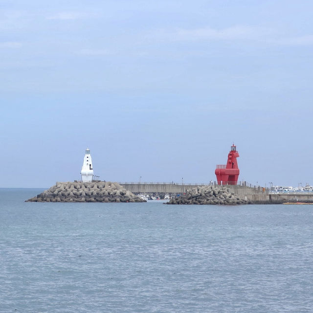 귀여운 목마가 있는 이호테우 해변🌊🌴