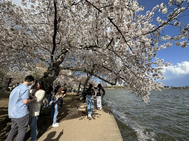 The Place of Spiritual Serenity in Washington D.C.