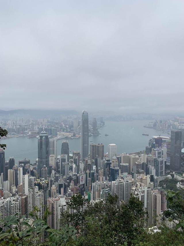 PEAK TRAM 🚃 THE MOST BEAUTIFUL VIEW FROM HK🌃
