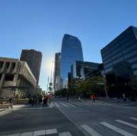 Window Shopping at Denver’s Downtown