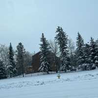 Edmonton Toronto 