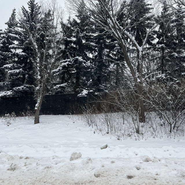 Edmonton Toronto 