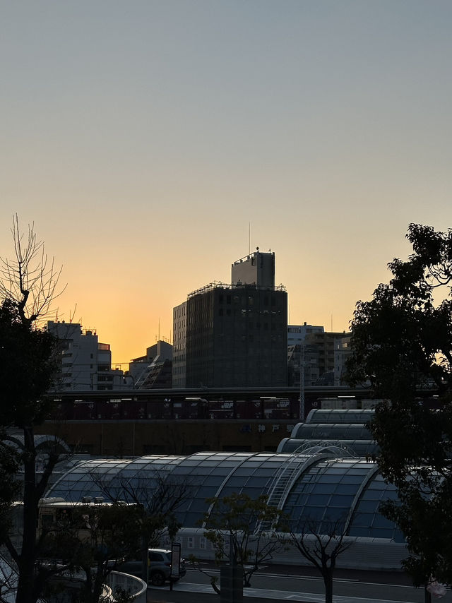 Uncovering the Charm of Kobe: A Day at the Iconic Kobe Harborland