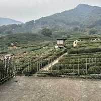Hangzhou 5 Days Itinerary