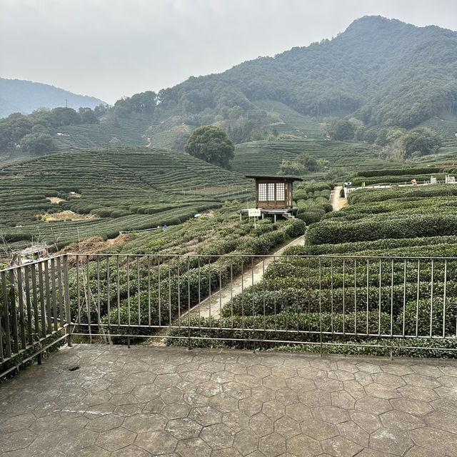 Hangzhou 5 Days Itinerary