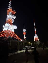 14-Day Kyushu island 