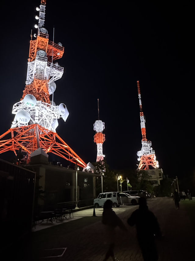 14-Day Kyushu island 