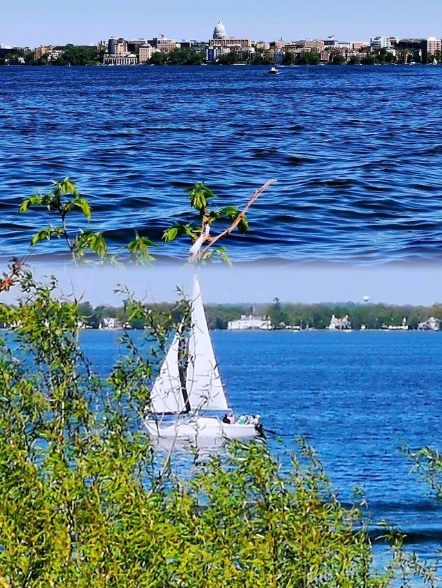 到 Lake Mendota(門多塔湖)徒步