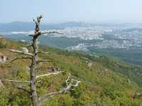 History and Modernity in Seoul