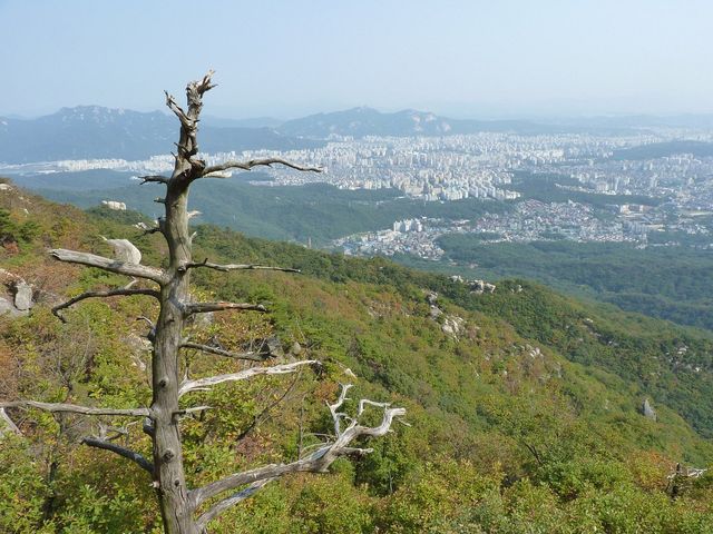 History and Modernity in Seoul