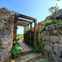🌸中城城跡🌸坐落在遼闊石灰岩高原上的城堡殘壁