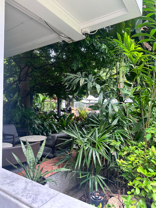 Brunching in Bangkok 🍰 🥯 ☕️ 