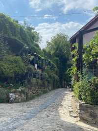 A trip to Sighisoara 🗺️