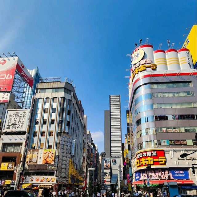 Timeless Beauty: Exploring Japan’s Soulful Wonders
