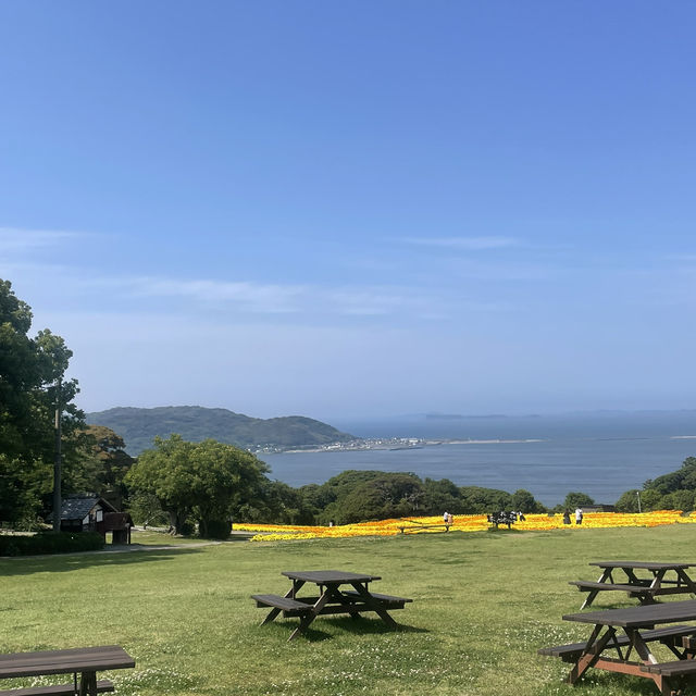 Nokonoshima island 💗