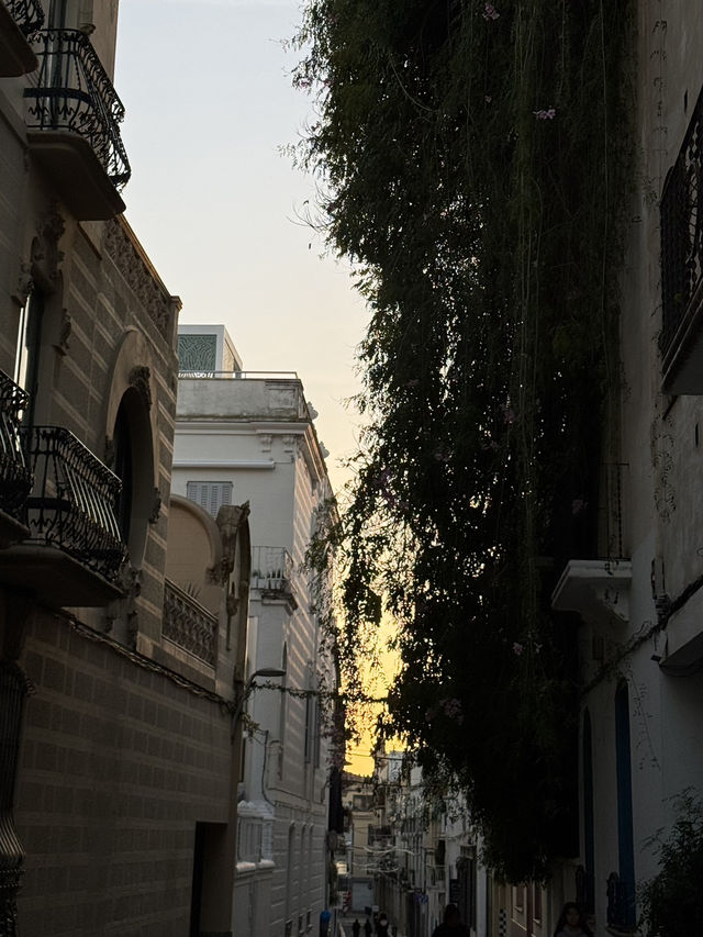 From Vilanova to Sitges: A Coastal Escape