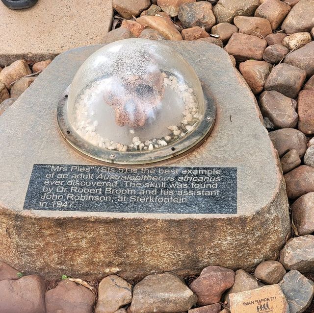 Cradle of humankind is a must vist
