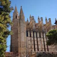 Palma de Mallorca  🏙️