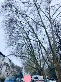 Lindenhofplatz에서