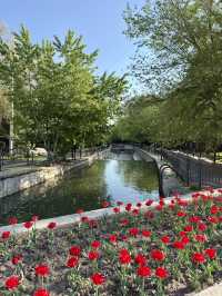 Springtime Fun at Central Park, Almaty