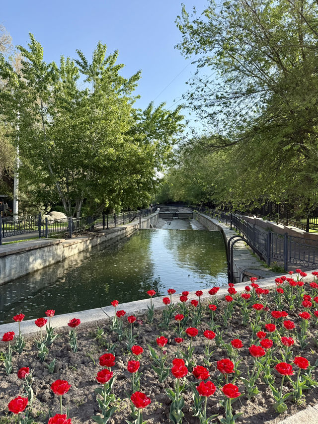 Springtime Fun at Central Park, Almaty