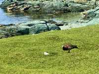 Nature + Nostalgia – Ushuaia