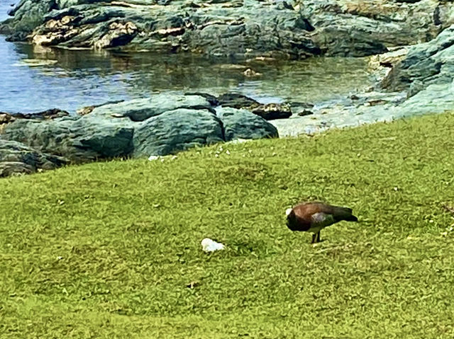 Nature + Nostalgia – Ushuaia