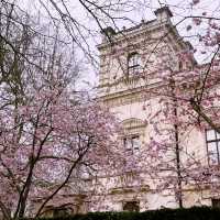 🌸 Elegant Escapes: A Day in London’s Kensington