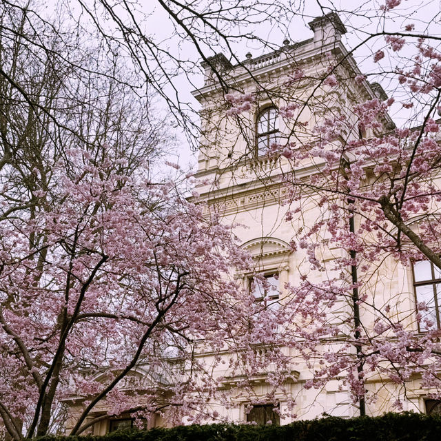 🌸 Elegant Escapes: A Day in London’s Kensington