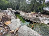 Salt hot spring in Krabi 