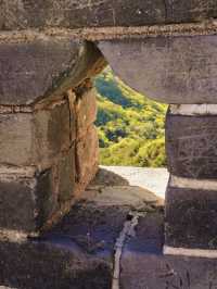 Greenery at the Great Wall