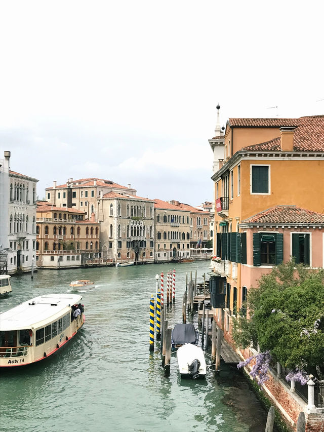 From Rialto to San Marco: why Venice is my favourite city 