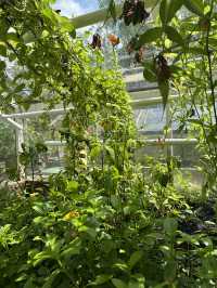 Trip to de Hortus 