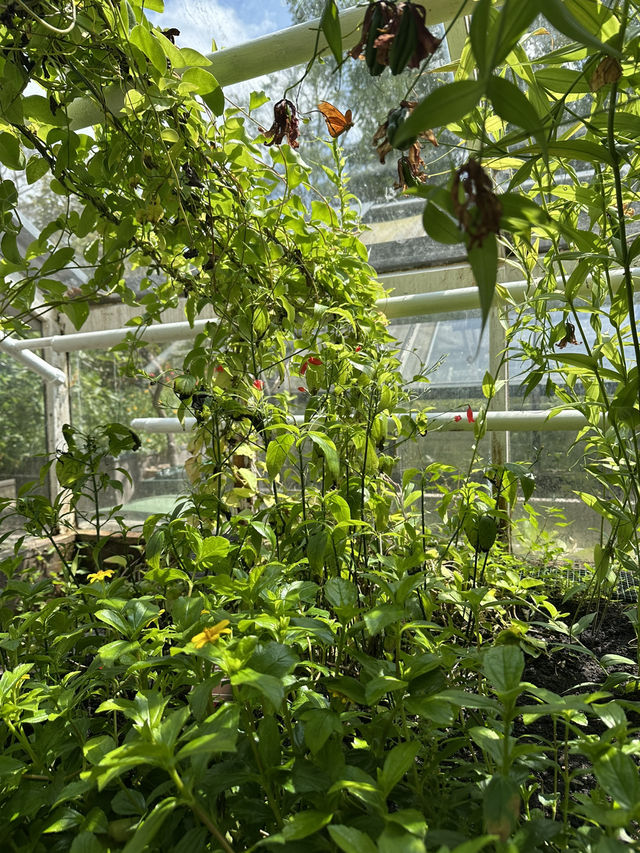 Trip to de Hortus 