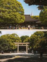 1 day itinerary-TOKYO🇯🇵